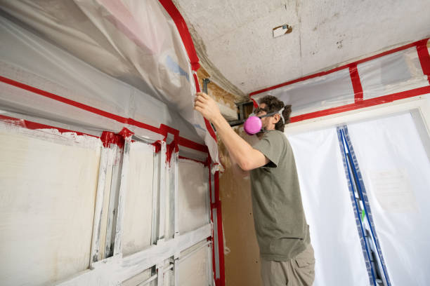 Mold Documentation for Insurance Claims in Horizon West, FL